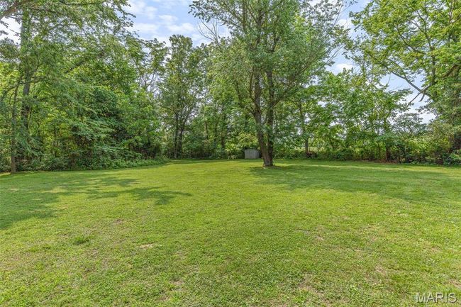 View of grassy yard | Image 61