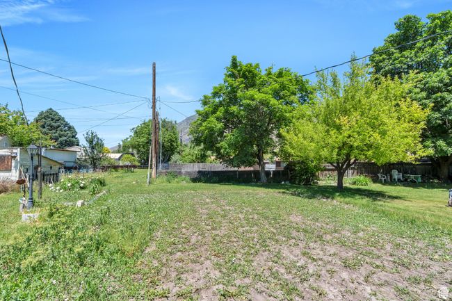 View of yard | Image 14