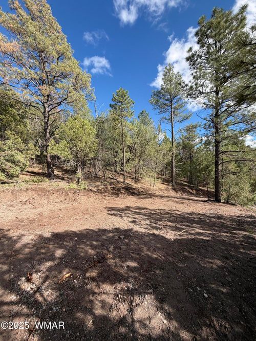 75 County Road 2108, Nutrioso, AZ, 85932 | Card Image