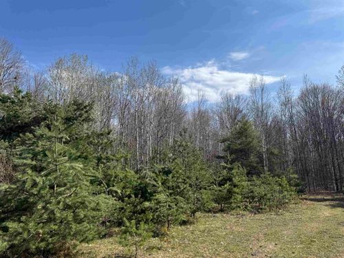 TBD N Loomis Rd, Clare, MI, 48617 | Card Image