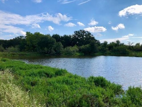 TBD County Road 120, Caldwell, TX, 77836 | Card Image