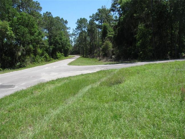 000 Malauka Radial, Home with 0 bedrooms, 0 bathrooms and null parking in Ocklawaha FL | Image 3