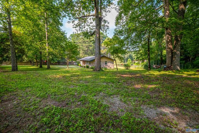1305 Beeson Gap Rd Ne, House other with 3 bedrooms, 2 bathrooms and null parking in Fort Payne AL | Image 32