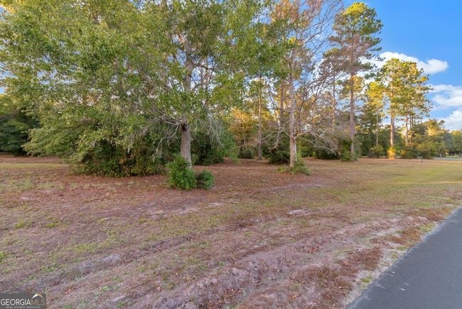 LOT-71 - 0 Coopers Point Dr Ne, Home with 0 bedrooms, 0 bathrooms and null parking in Townsend GA | Image 4