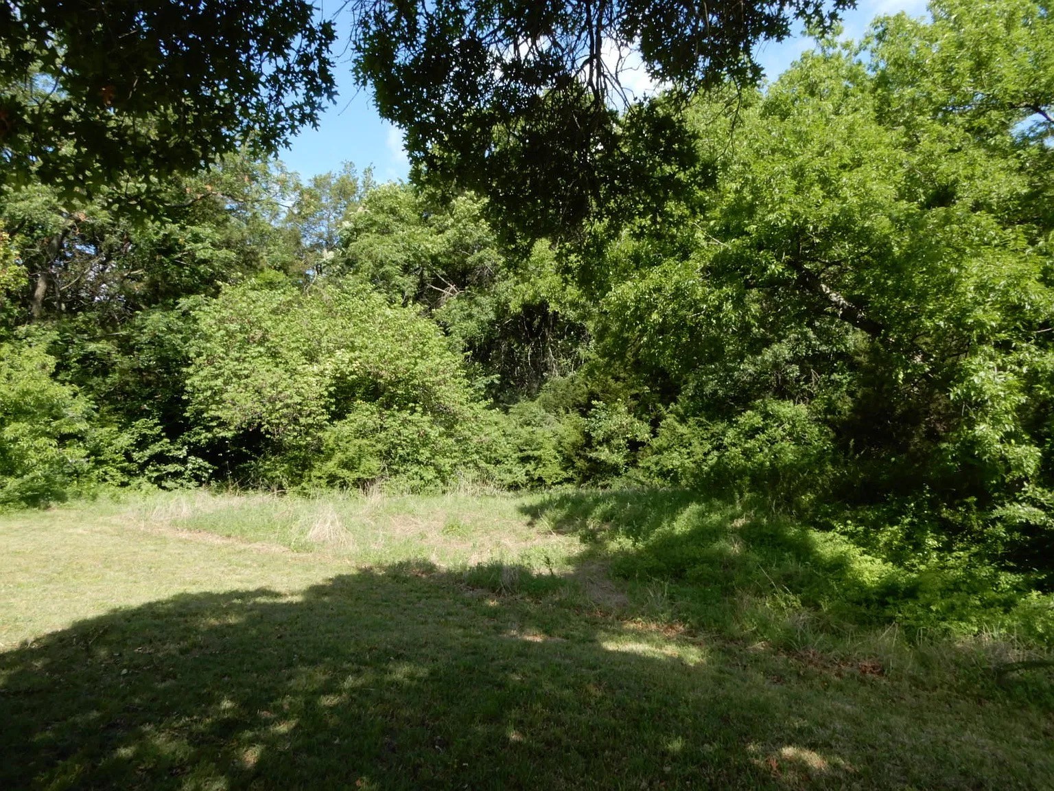 Land in Dallas 5