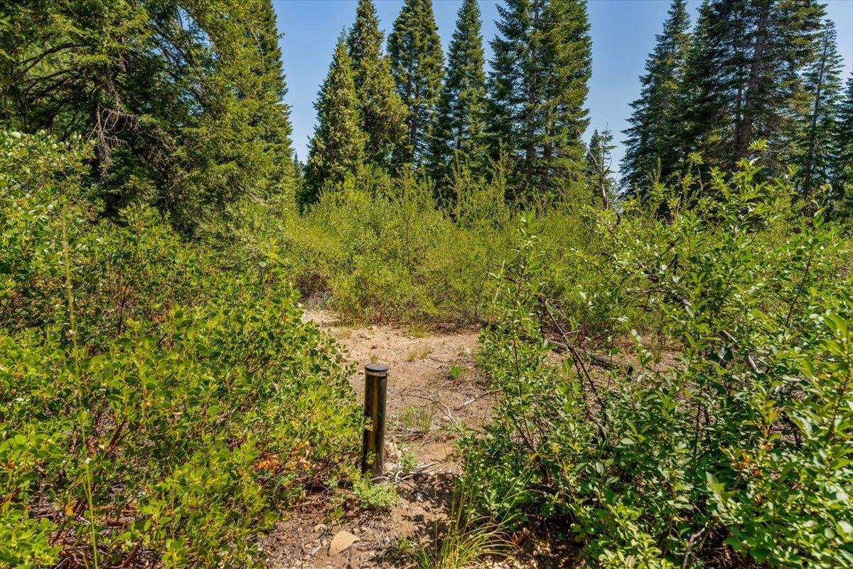 Land in McCloud 2