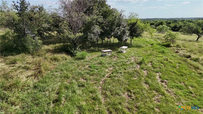 16066 Mclennan Rd, Home with 0 bedrooms, 0 bathrooms and null parking in Troy TX | Image 14