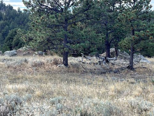 lot-48-NHN Canyon Drive, Shawmut, MT, 59078 | Card Image