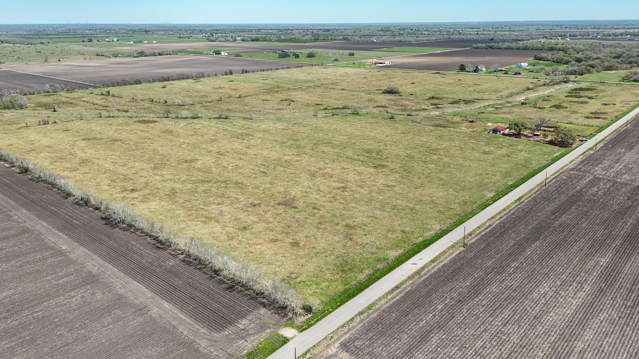 Farm in Damon 3