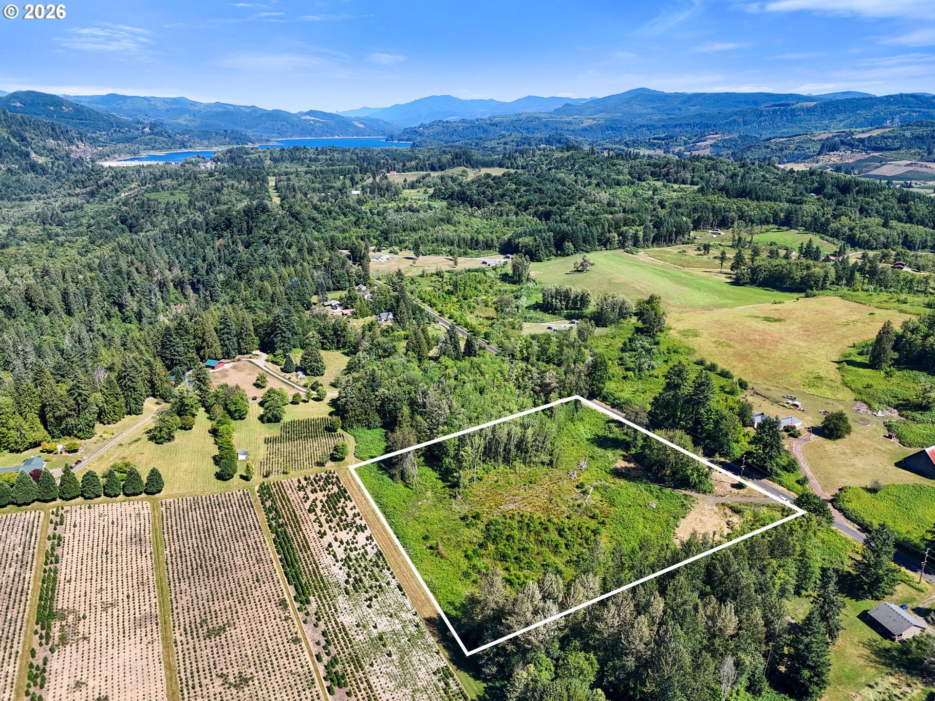 Land in Mossyrock 4
