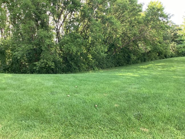 LARGE WIDLIFE RIGHT OFF YOUR PATIO | Image 4