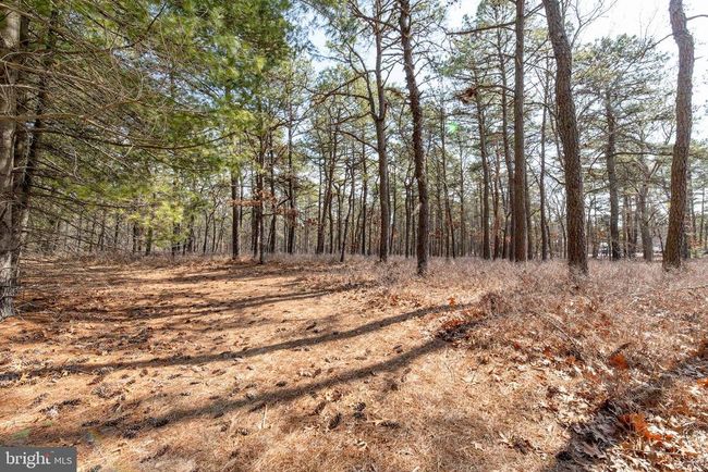 220 Old Tuckerton Rd, Townhouse with 3 bedrooms, 2 bathrooms and null parking in CHATSWORTH NJ | Image 62