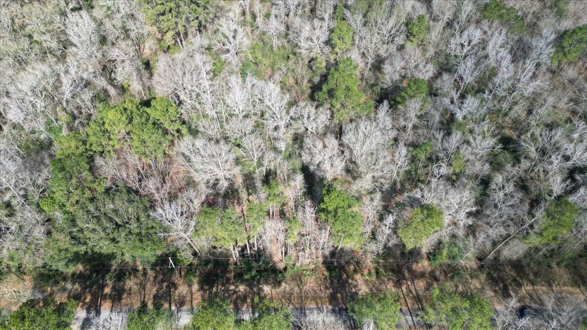Land in Conroe 5