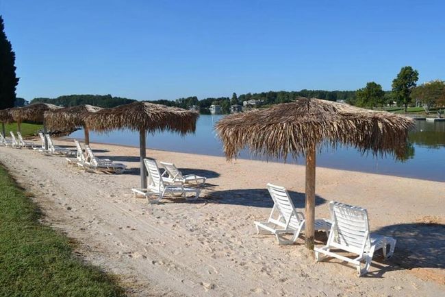 Beach | Image 20