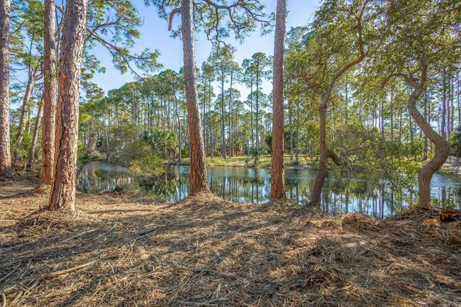 160 Harbor Cir, Home with 0 bedrooms, 0 bathrooms and null parking in ALLIGATOR POINT FL | Image 12