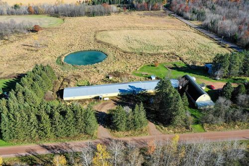 N5236 Forest Drive, Greenwood, WI, 54470 | Card Image