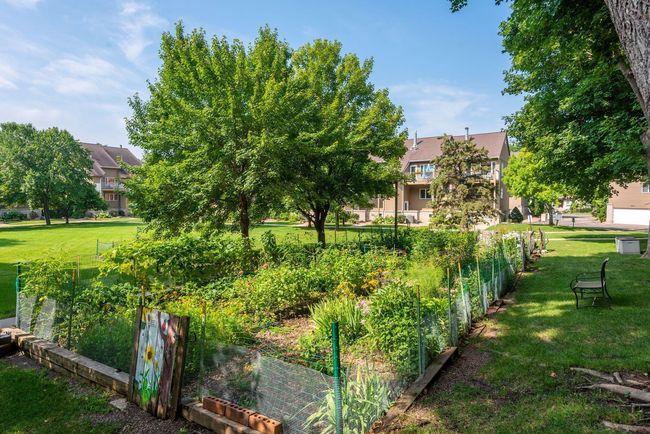 Community Gardens | Image 25