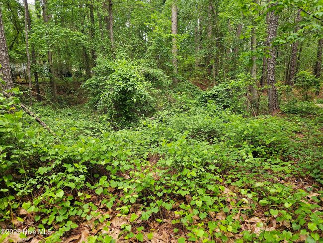 181 Joel Rd, Home with 0 bedrooms, 0 bathrooms and null parking in Carthage NC | Image 20
