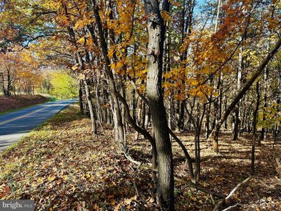 20.98 ACRES Sand Hill Road, Home with 0 bedrooms, 0 bathrooms and null parking in ROMNEY WV | Image 1