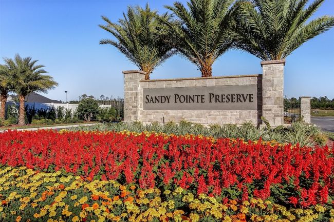 Gated Sandy Pointe Preserve entry | Image 39