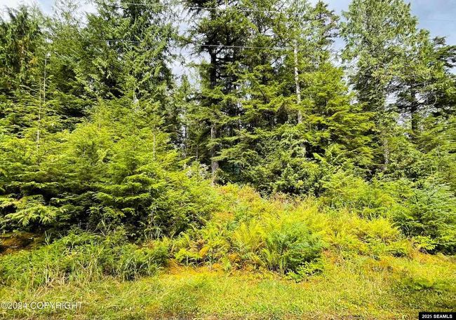 252 1A Snoose C Whale Pass Road, House other with 1 bedrooms, 0 bathrooms and null parking in Whale Pass AK | Image 15