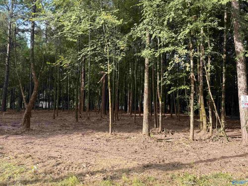 Lot 19 County Road 1011, Centre, AL, 35960 | Card Image