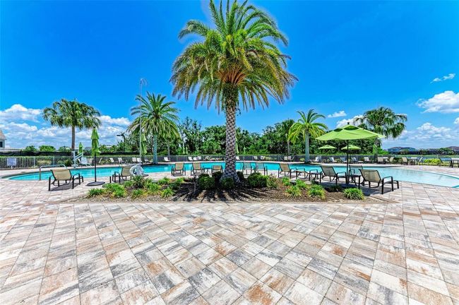 amenity pool island | Image 71