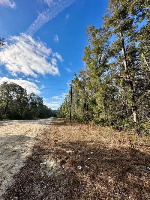 0 Ne 306th Ave, Old Town, FL, 32680 | Card Image