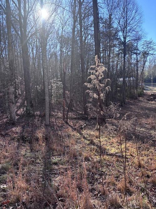 Lot 73 Bice Ln, Blue Ridge, GA, 30513 | Card Image