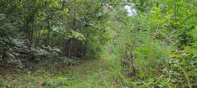 0 E Silver Shoals Rd, Home with 0 bedrooms, 0 bathrooms and null parking in Toccoa GA | Image 11