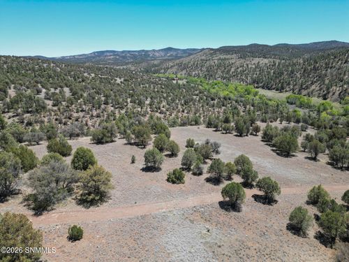 TBD Lot4a Highway 35, Mimbres, NM, 88049 | Card Image