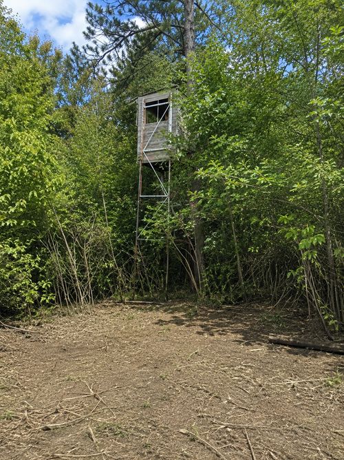 TBD Chimney Rd, Nevis, MN, 56467 | Card Image