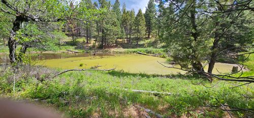 12 Hall Creek Tracts, Helmville, MT, 59843 | Card Image