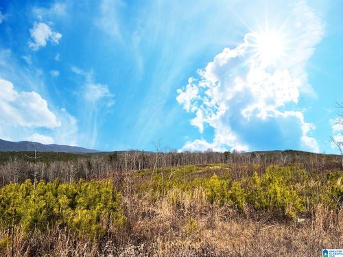 x-x-0 Us Highway 278 W, Piedmont, AL, 36272 | Card Image