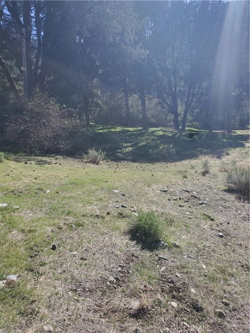 237 Pine Canyon Dr, Frazier Park, CA, 93225-8188 | Card Image