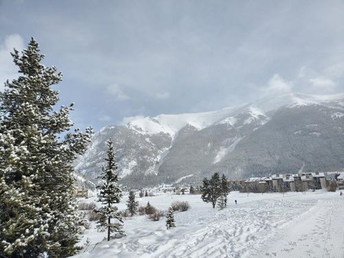 18-219 Wheeler Pl, Frisco, CO, 80443 | Card Image