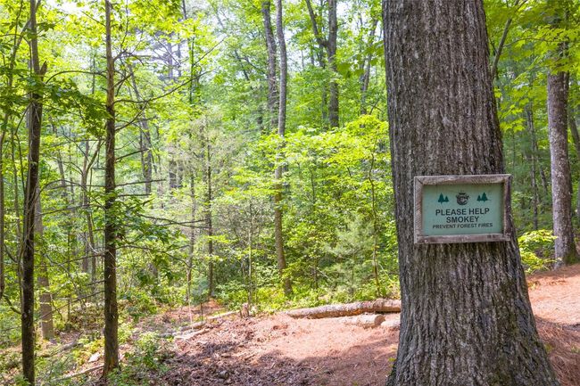 151 Rhododendron Ct, House other with 3 bedrooms, 3 bathrooms and null parking in Sapphire NC | Image 74
