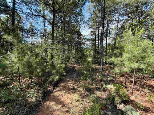 001-01049-000 Cr 128, Calico Rock, AR, 72519 | Card Image