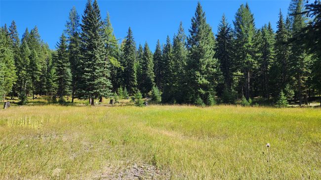 1720 Coon Hollow Rd, Home with 0 bedrooms, 0 bathrooms and null parking in Kila MT | Image 11