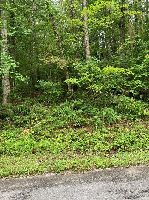 00 Laurel Dr, Turtletown, TN, 37391 | Card Image