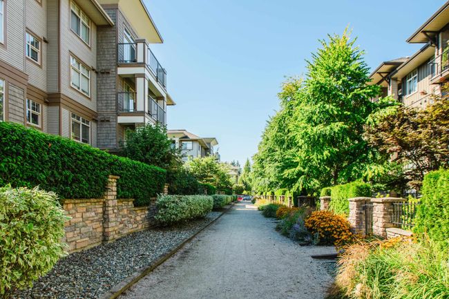 416 - 12238 224 Street, Condo with 1 bedrooms, 1 bathrooms and 2 parking in Maple Ridge BC | Image 29