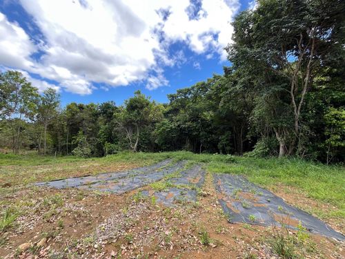 LOT 5 Km 2.5 Carretera 856, Carolina, PR, 00987 | Card Image