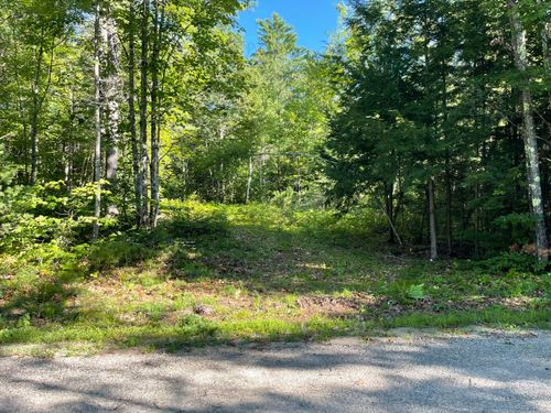 Lot #0 Birch View Dr, Bethel, ME, 04217 | Card Image