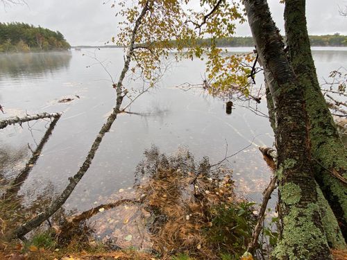 1 River Road, BARNES, WI, 54838 | Card Image