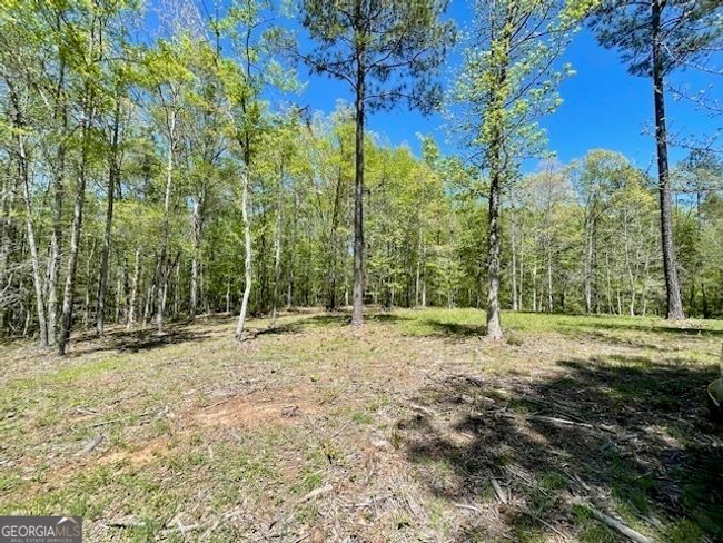 1276 Hornets Bridge Rd, Home with 0 bedrooms, 0 bathrooms and null parking in Elberton GA | Image 16