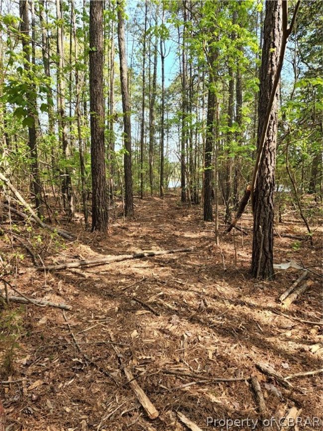 0 Potato Neck Rd, Home with 0 bedrooms, 0 bathrooms and null parking in Port Haywood VA | Image 22