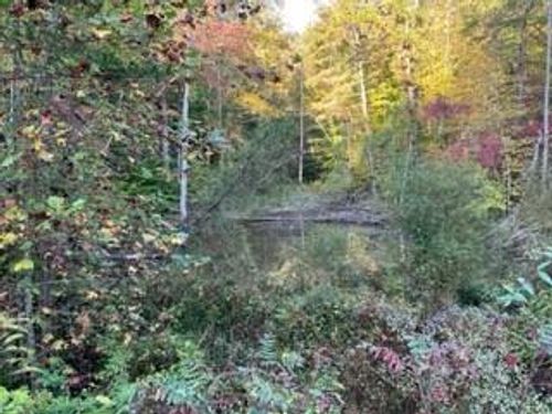1003 Wilber Hill Rd, Blaine, KY, 41124 | Card Image