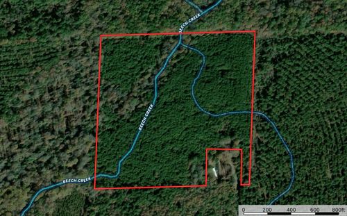 TBD 38 Acres Dallas 429, Carthage, AR, 71725 | Card Image