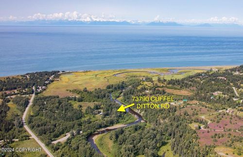 73790 Cuffel Ditton Rd, Anchor Point, AK, 99556 | Card Image