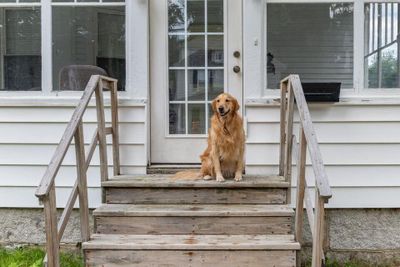 293 Penobscot Avenue, House other with 4 bedrooms, 1 bathrooms and null parking in Millinocket ME | Image 2